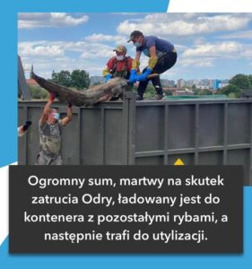 <img src="https://pigo.org.pl/wp-content/uploads/2025/02/favicon.ico" alt="favicon" style="width:16px; height:16px;"> Posiedzenie Rady PIGO